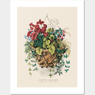 Rustic Basket Antique Botanical Illustration Posters and Art